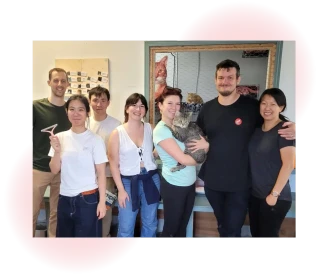 People volunteering at a cat shelter
